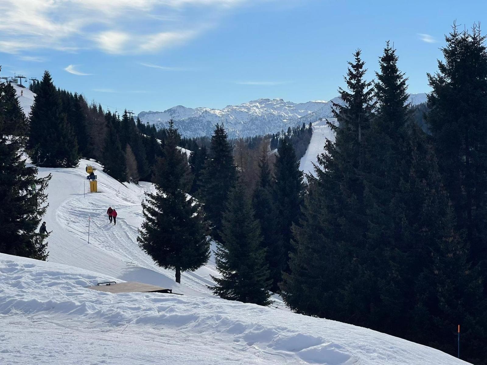 Cielo E Terra Chalet Zencheri Con Vista Panoramica Piazza  Buitenkant foto