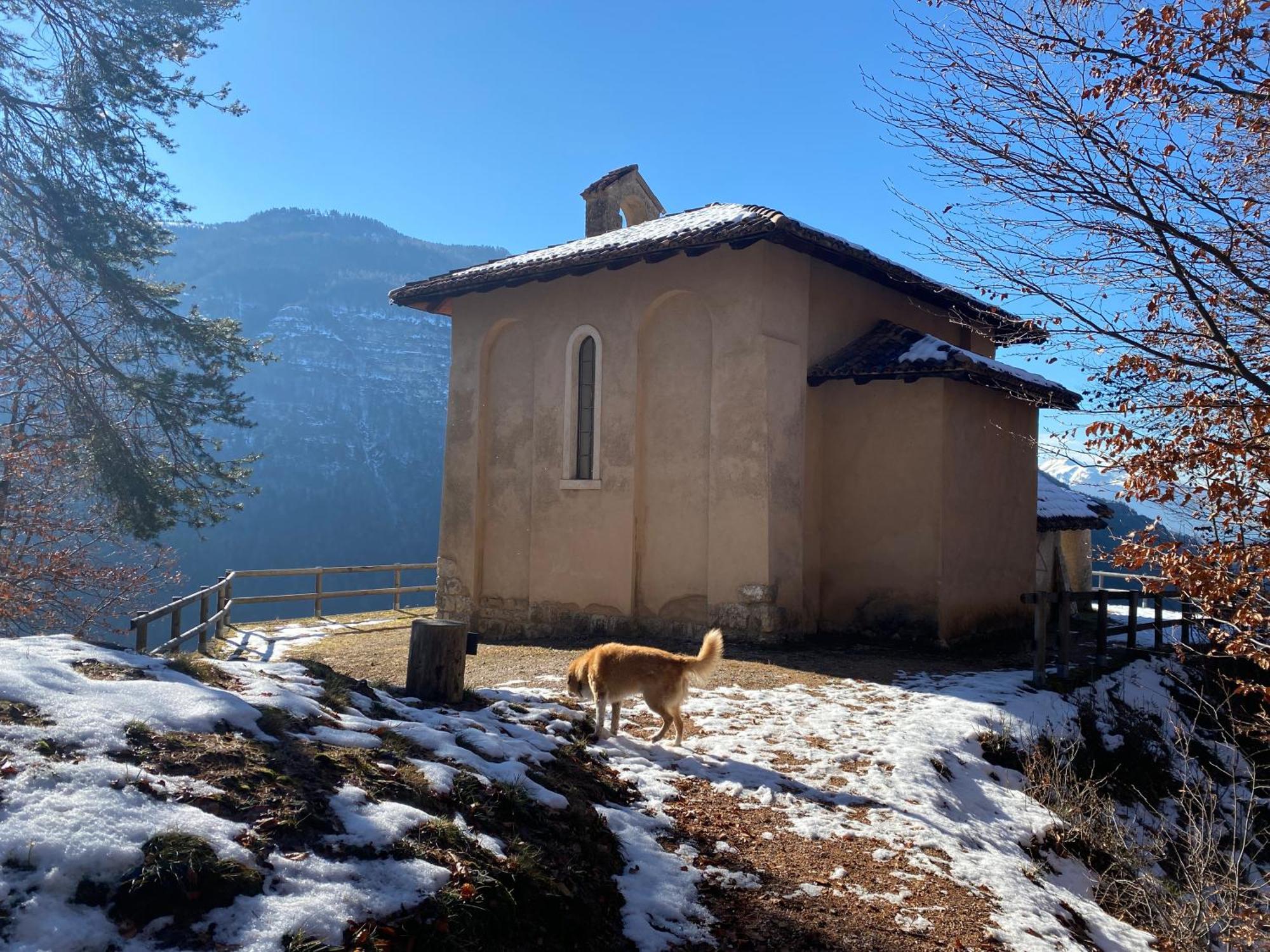 Cielo E Terra Chalet Zencheri Con Vista Panoramica Piazza  Buitenkant foto
